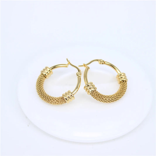 Hot classic Gold color 316 stainless steel jewelry earrings fashion wild female earring size selection  LH198