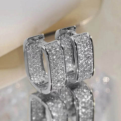 High quality earrings. Exquisite sparkling earrings. U-shaped design stainless steel jewelry, best-selling jewelry in 2023