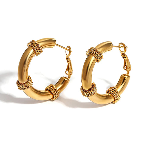 AENSOA Stainless Steel Punk Twine Smooth Gold Color Chunky Hoop Earrings for Women Men Thick Hoops Huggies Ear Jewelry 2024 New