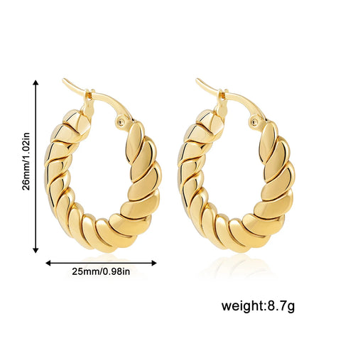 Fashion Gold Plated Stainless Steel Flat Twist Hoop Earrings for Women Creative Textured Circle Earrings Punk Jewelry Gift