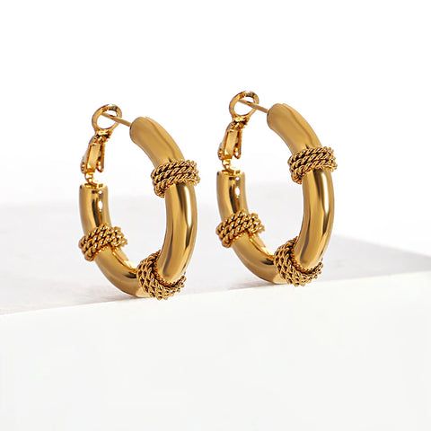 AENSOA Stainless Steel Punk Twine Smooth Gold Color Chunky Hoop Earrings for Women Men Thick Hoops Huggies Ear Jewelry 2024 New