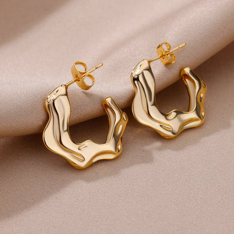 Irregular C Shaped Earrings for Women Gold Color Stainless Steel Earrings 2023 Trend New in Wedding Couple Jewelry Free Shipping