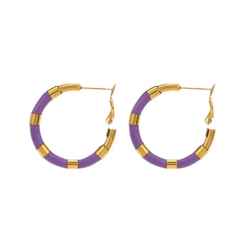 OIMG 316L Stainless Steel Gold Plated Bohemian Simple Circle Hoop Earrings For Women Earrings No Fade Waterproof Jewelry