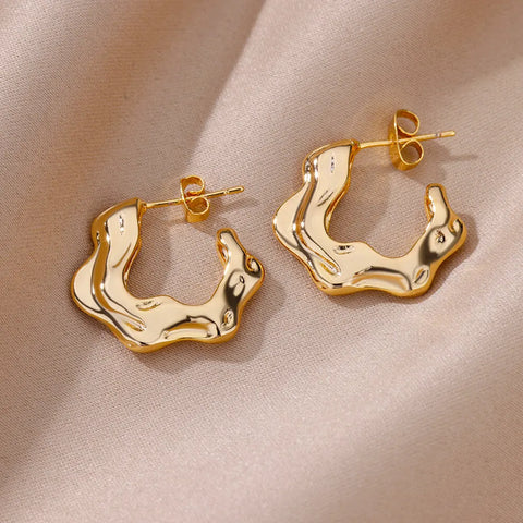 Irregular C Shaped Earrings for Women Gold Color Stainless Steel Earrings 2023 Trend New in Wedding Couple Jewelry Free Shipping