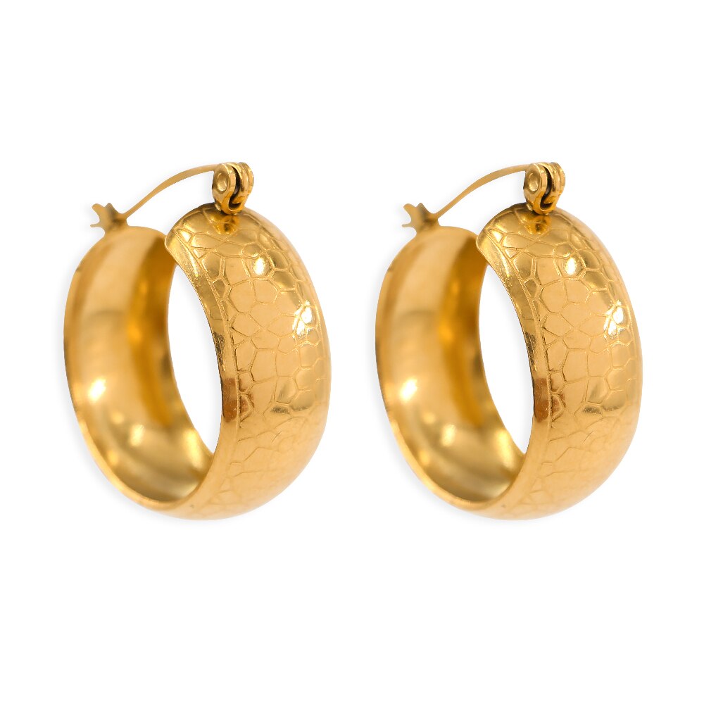 Classical Hypoallergenic Tarnish Free Stainless Steel Waterproof 18K Gold Plated Hoop Earrings For Women Oversize Small Loop Ear