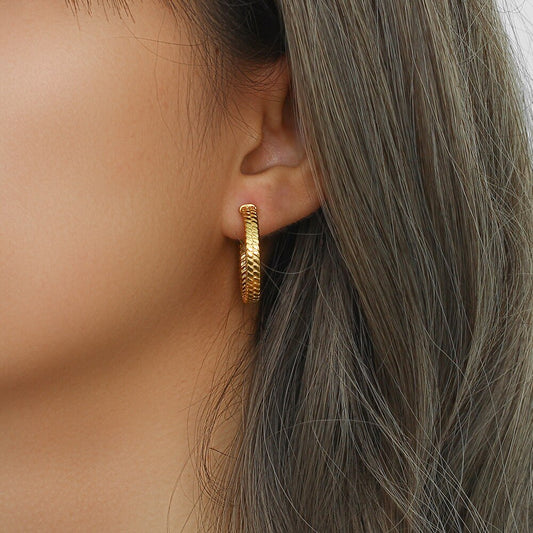 2022 New Snake Skin Braid Texture Matte Gold Hoop Earrings For Woman Stainless Steel Tarnish Free Gold Jewelry For Women